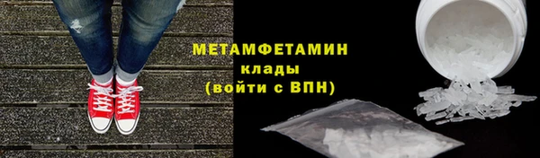 индика Сосновый Бор