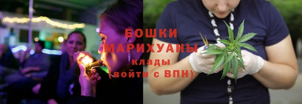 амф Сосновоборск