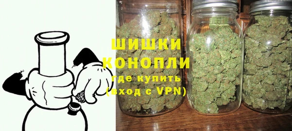 индика Сосновый Бор